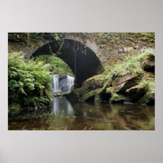 Torc Waterfall Bridge Poster
