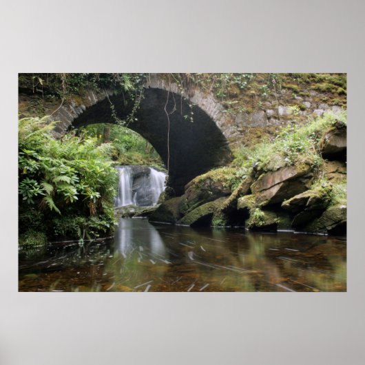 Torc Waterfall Bridge Poster (Vorne)