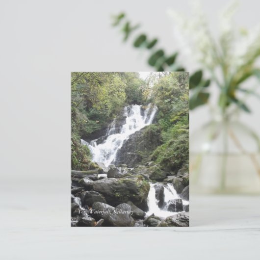 Torc Waterfall, Killarney. Irland Postkarte (Stehend Vorderseite)