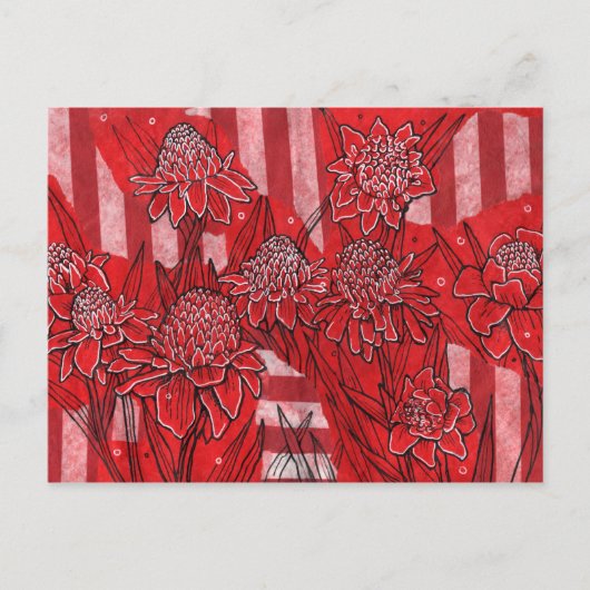 Torch Ginger Lily, Rote Blume Tropische Kunst Postkarte (Vorderseite)