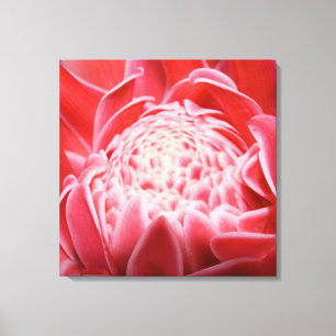 Torch Ginger Pflanze Blume Leinwanddruck