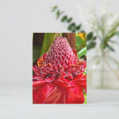 Torch Ginger Postkarte (Stehend Vorderseite)