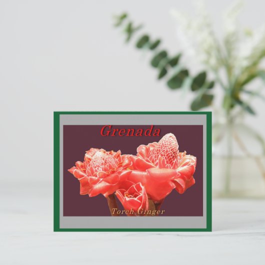 Torch Ginger Postkarte (Stehend Vorderseite)