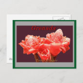 Torch Ginger Postkarte (Vorne/Hinten)