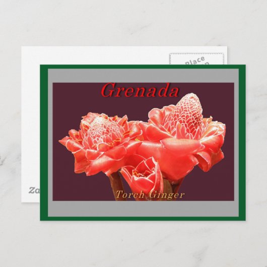 Torch Ginger Postkarte (Vorne/Hinten)