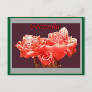 Torch Ginger Postkarte
