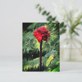 Torch Ginger Postkarte (Stehend Vorderseite)