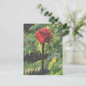 Torch Ginger Postkarte (Stehend Vorderseite)