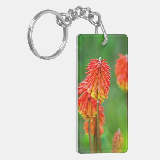 Torch Lily (Kniphofia Uvaria), Western Kap Schlüsselanhänger (Vorderseite links)
