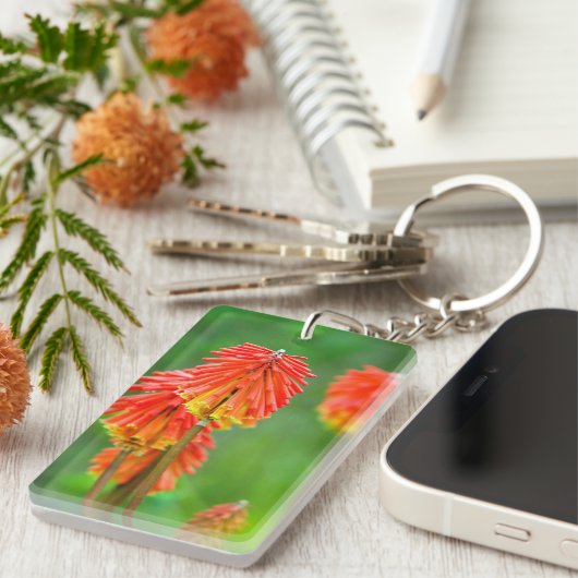 Torch Lily (Kniphofia Uvaria), Western Kap Schlüsselanhänger (Vorderseite rechts)