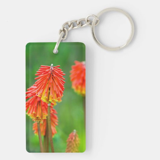Torch Lily (Kniphofia Uvaria), Western Kap Schlüsselanhänger (Rückseite)