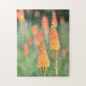 Torch Lily Red Hot Poker Blume Naturfotografie Puzzle (Vertikal)