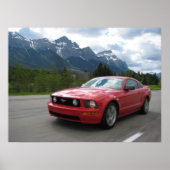 Torch Red Poster (Vorne)