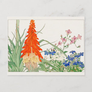 Torchlilie, Lobelia von Tanigami Konan Postkarte