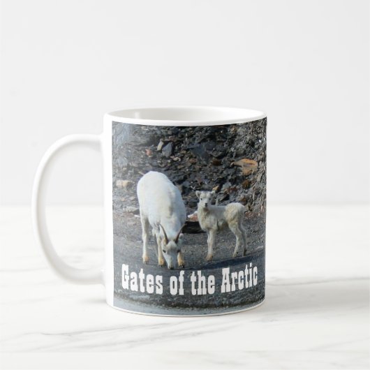 Tore der arktischen Tasse (Links)