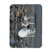 Tore des Arktischen Nationalparks Magnet (Vertikal)