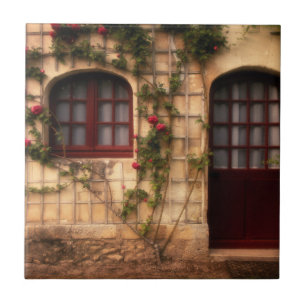 Toreinfahrt des Rosenhauses Fliese