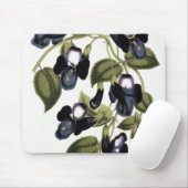 Torenia asiatica pulcherrima mousepad (Mit Mouse)