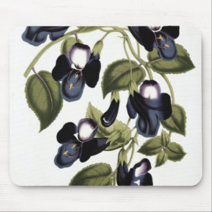 Torenia asiatica pulcherrima mousepad