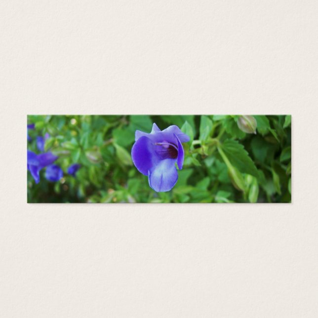 Torenia-Lesezeichen (Vorderseite)