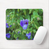 Torenia Mousepad (Mit Mouse)