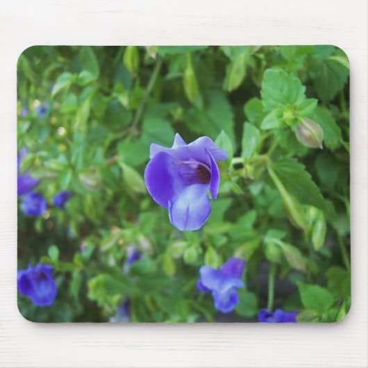 Torenia Mousepad (Vorne)