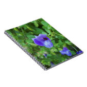 Torenia Notizblock (Rechte Seite)