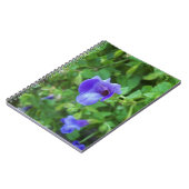 Torenia Notizblock (Linke Seite)
