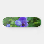 Torenia Skateboard (Horizontal)