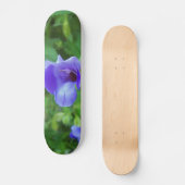 Torenia Skateboard (Vorderseite)