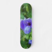 Torenia Skateboard (Vorderseite)