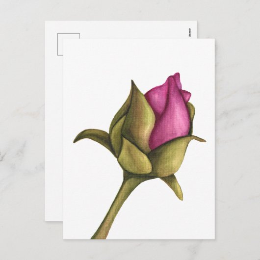 Torfknospe Feiertagspostkarte (Vorne/Hinten)