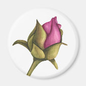 Torfknospe Magnet (Vorne)