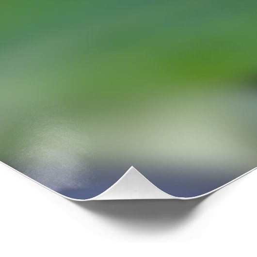 Torfknospe Poster (Ecke)