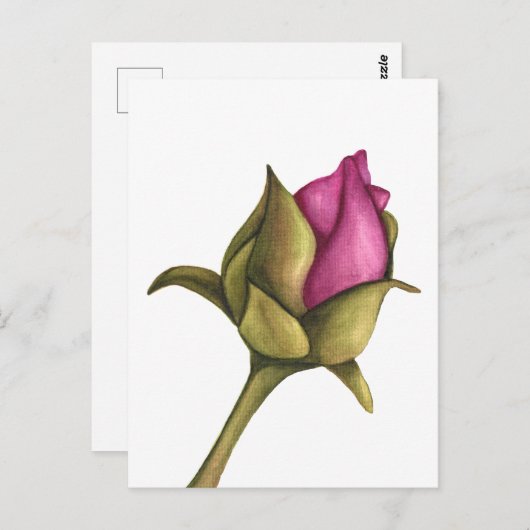 Torfknospe Postkarte (Vorne/Hinten)