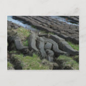 Torfschneiden Postkarte (Vorderseite)