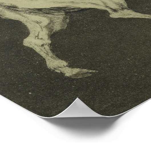 Torheit der Bullen Poster (Ecke)