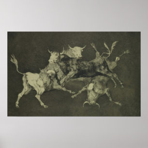 Torheit der Bullen Poster