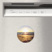 Torheit Magnet (In Situ (Geschirrspüler))