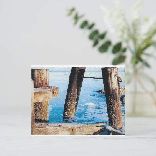 Torhühner Postkarte (Stehend Vorderseite)