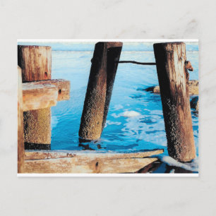 Torhühner Postkarte