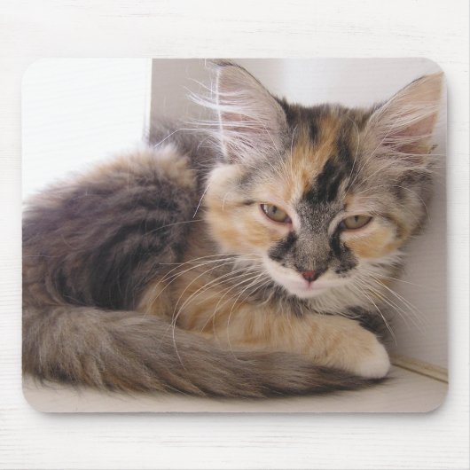 Tori Mousepad (Vorne)