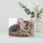 Tori Postkarte (Stehend Vorderseite)