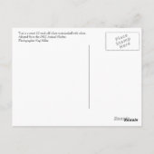 Tori Postkarte (Rückseite)