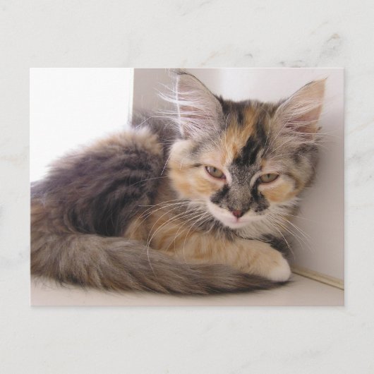 Tori Postkarte (Vorderseite)