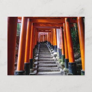 Torii bei Inari Shrine, Kyōto - Postcard Postkarte