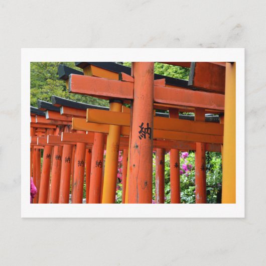Torii Gates, Nezu Shrine: Tokio Postkarte (Vorderseite)