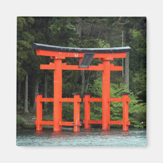 torii hakone magnet