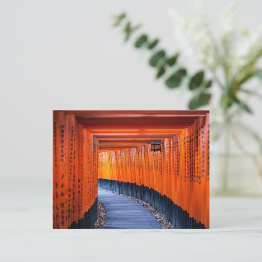 Torii Weg von Fushimi Inari-Taisha Schrein Postkarte (Stehend Vorderseite)