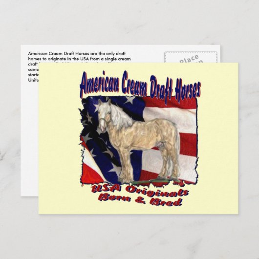 Torn Flag Creme Postcard Postkarte (Vorne/Hinten)